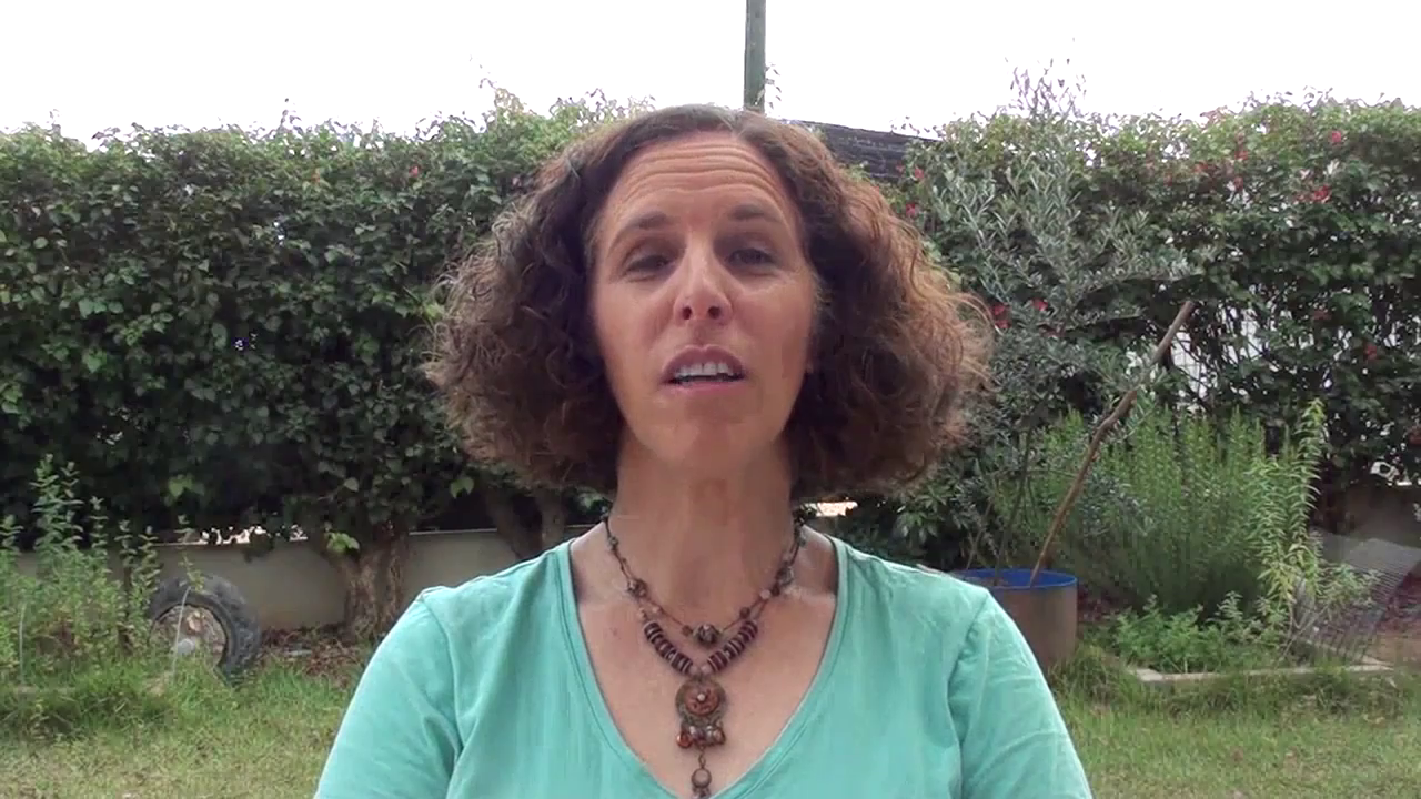 סדר כרונולוגי